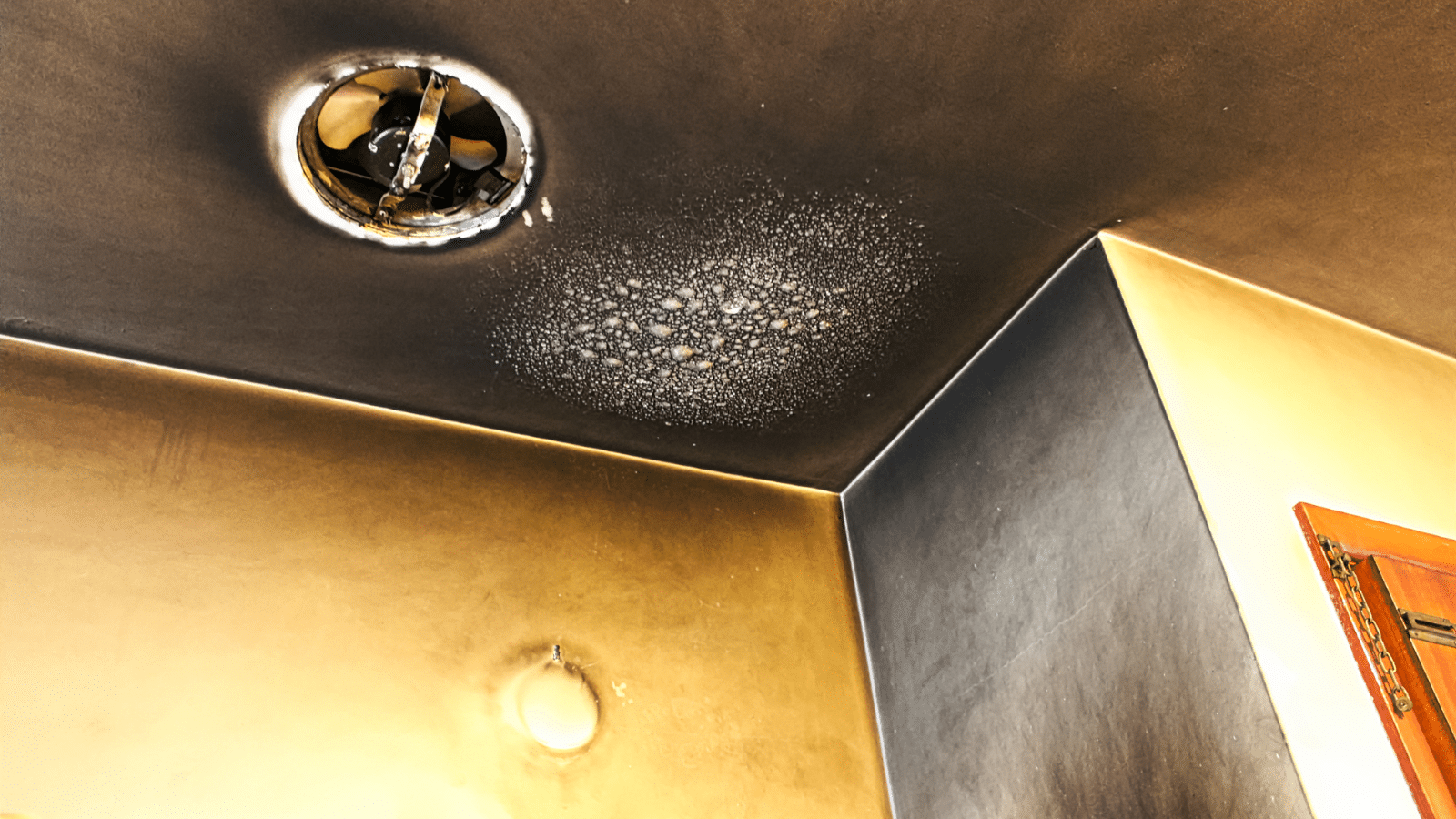 Mold in a ceiling