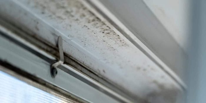 a close up of a door with mold