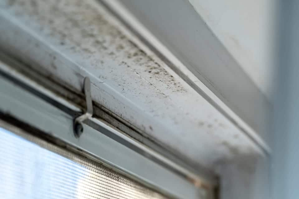 a close up of a door with mold