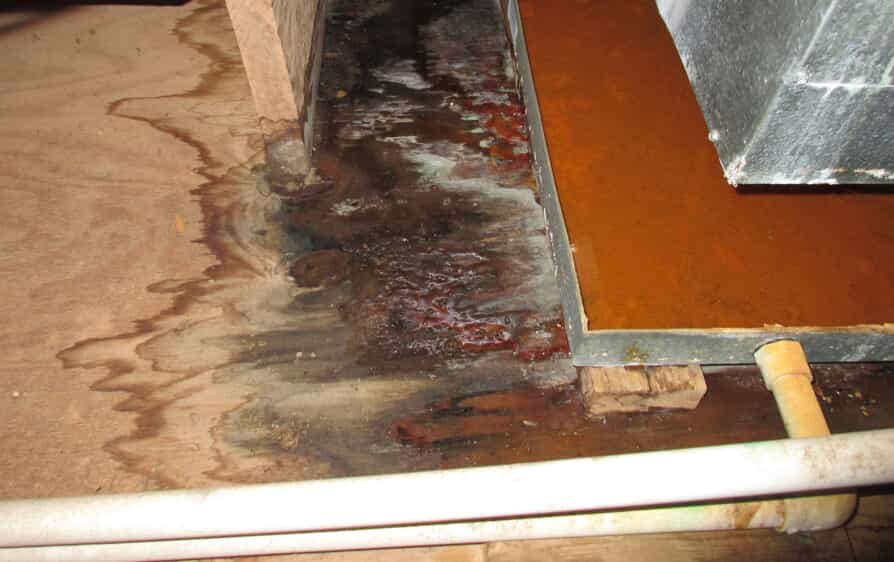 Rusty HVAC drip pan leaking onto water-stained plywood, showing mold and moisture damage near pipes.