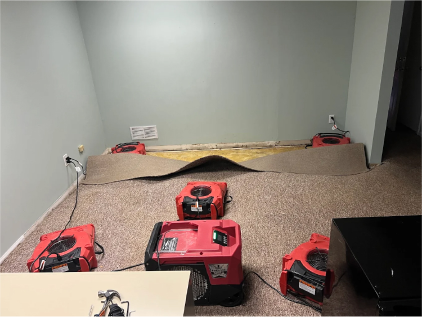 Basement room with carpet pulled back and multiple red air movers and a dehumidifier drying subfloor after water damage