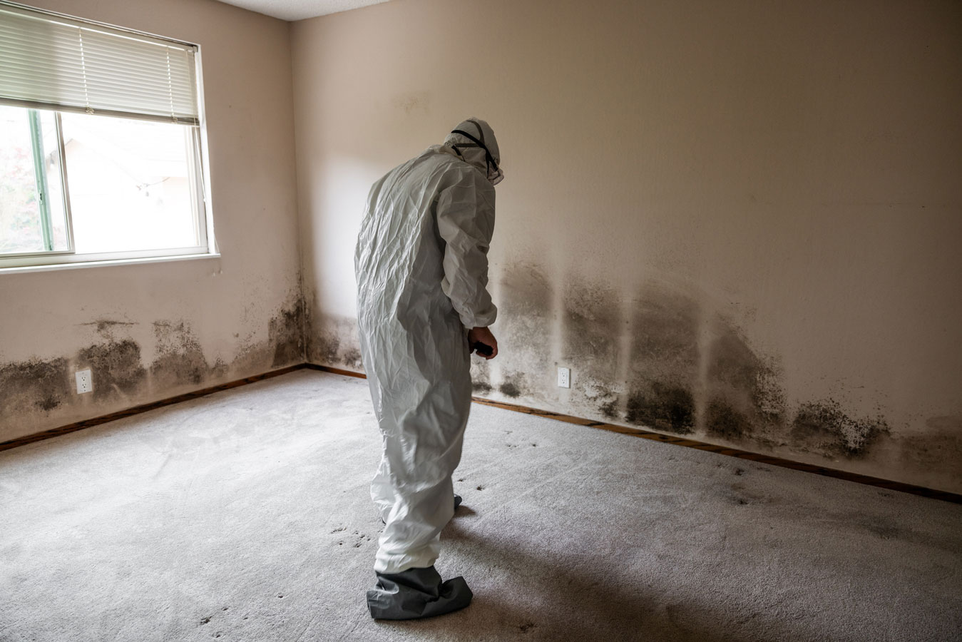 Person in protective suit inspecting black mold on bedroom wall and carpet for remediation after water damage